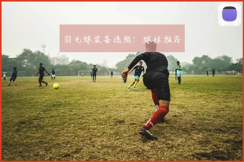 羽毛球装备选购：球袜推荐