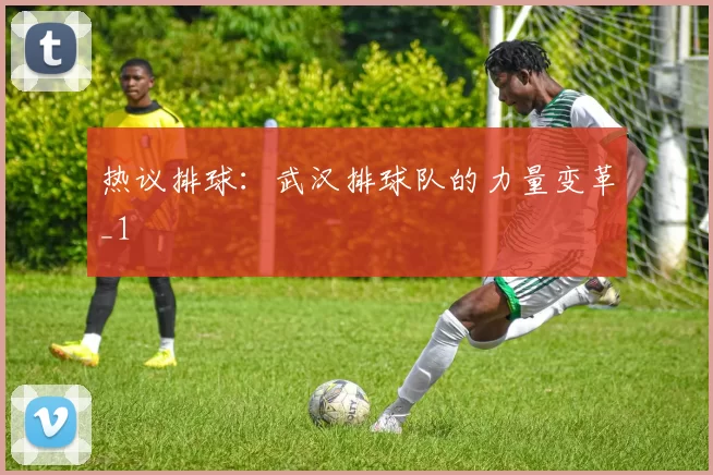 热议排球：武汉排球队的力量变革_1