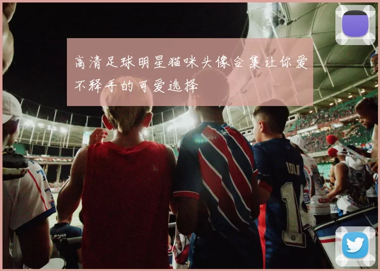 高清足球明星猫咪头像合集让你爱不释手的可爱选择